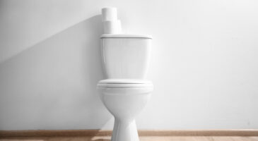 Détartrer les WC : 12 astuces pour avoir des fonds de toilettes impeccables !