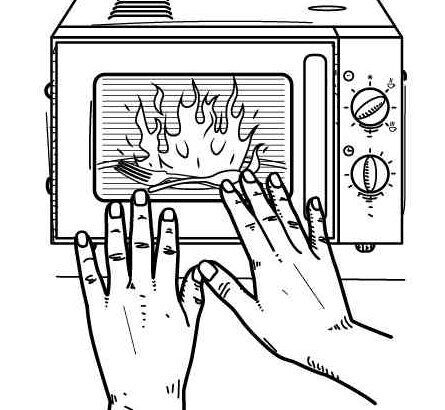 Découverte d'une antique cité Maya dans la jungle du Mexique