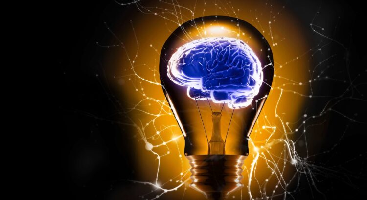 Peut-on se fier à notre intuition ?