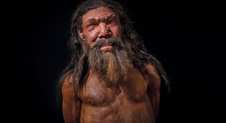 Néandertal et Homo sapiens, quelles sont les différences ?