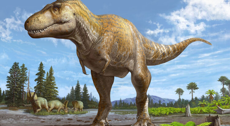 Où se trouve la terre d'origine du T. rex ?